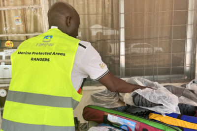 Agrandir l'image 3 sur 35, fenêtre modale