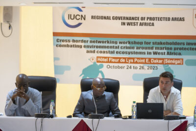 Agrandir l'image 28 sur 39, fenêtre modale