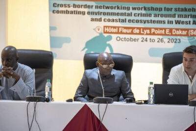 Agrandir l'image 29 sur 39, fenêtre modale