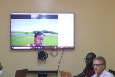 Agrandir l'image 7 sur 9, fenêtre modale