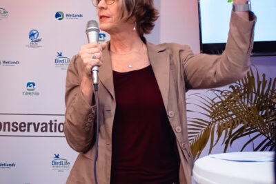 Agrandir l'image 27 sur 85, fenêtre modale