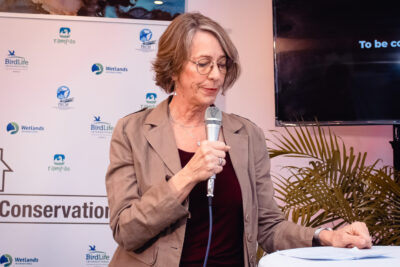 Agrandir l'image 28 sur 85, fenêtre modale