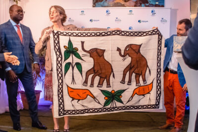 Agrandir l'image 33 sur 85, fenêtre modale