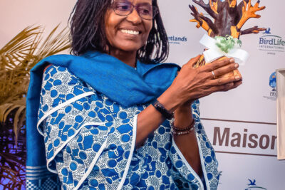 Agrandir l'image 35 sur 85, fenêtre modale