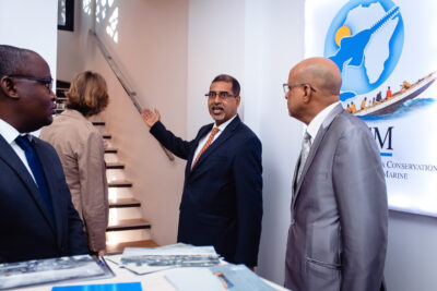 Agrandir l'image 50 sur 85, fenêtre modale