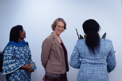 Agrandir l'image 56 sur 85, fenêtre modale