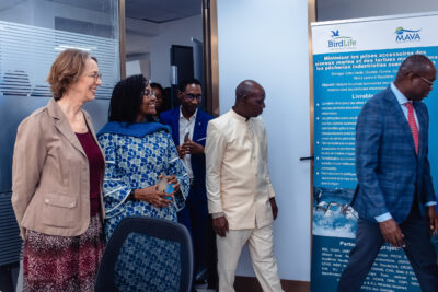 Agrandir l'image 63 sur 85, fenêtre modale