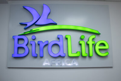 Agrandir l'image 64 sur 85, fenêtre modale