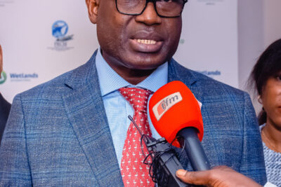 Agrandir l'image 67 sur 85, fenêtre modale