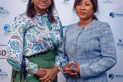 Agrandir l'image 78 sur 85, fenêtre modale