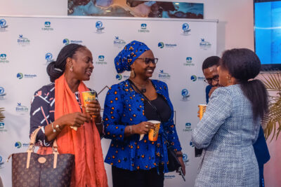 Agrandir l'image 81 sur 85, fenêtre modale