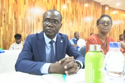 Agrandir l'image 7 sur 18, fenêtre modale