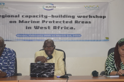 Agrandir l'image 6 sur 14, fenêtre modale