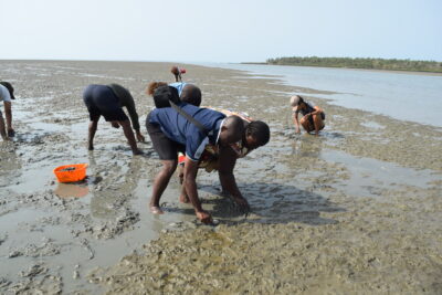 Agrandir l'image 1 sur 14, fenêtre modale