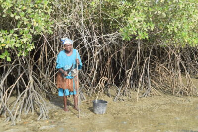 Agrandir l'image 2 sur 14, fenêtre modale