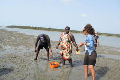 Agrandir l'image 4 sur 14, fenêtre modale