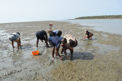 Agrandir l'image 3 sur 14, fenêtre modale