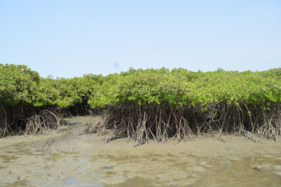 Agrandir l'image 5 sur 14, fenêtre modale