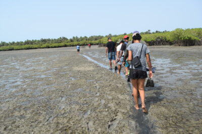 Agrandir l'image 13 sur 14, fenêtre modale