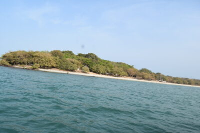 Agrandir l'image 7 sur 14, fenêtre modale