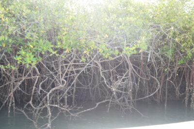 Agrandir l'image 9 sur 14, fenêtre modale