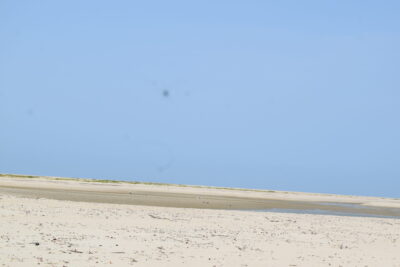 Agrandir l'image 8 sur 14, fenêtre modale