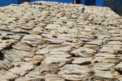 Agrandir l'image 1 sur 1, fenêtre modale