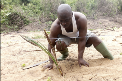 Agrandir l'image 1 sur 6, fenêtre modale