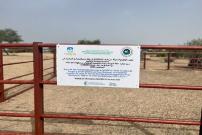 Agrandir l'image 1 sur 3, fenêtre modale