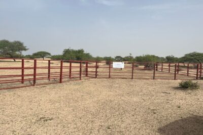 Agrandir l'image 2 sur 3, fenêtre modale