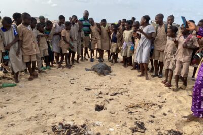 Agrandir l'image 4 sur 6, fenêtre modale