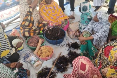 Agrandir l'image 5 sur 5, fenêtre modale